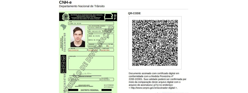 Brazilian Drivers License